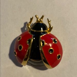 Cute vintage ladybug pin